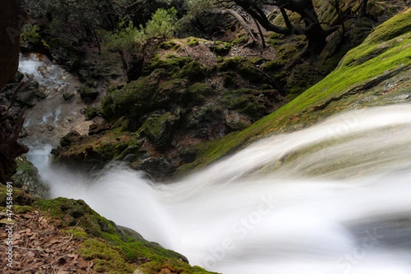 Obraz waterfall in the forest