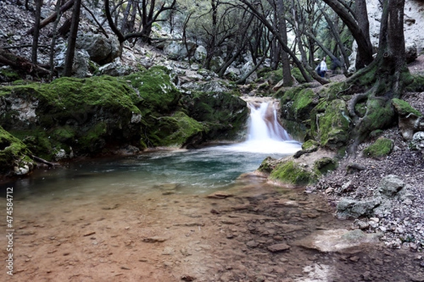 Obraz waterfall in the woods