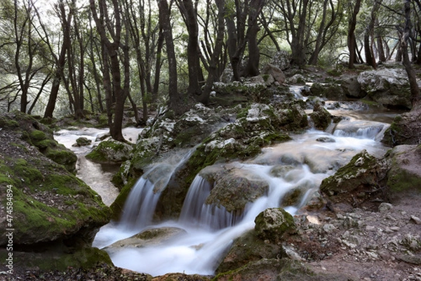 Obraz waterfall in the woods