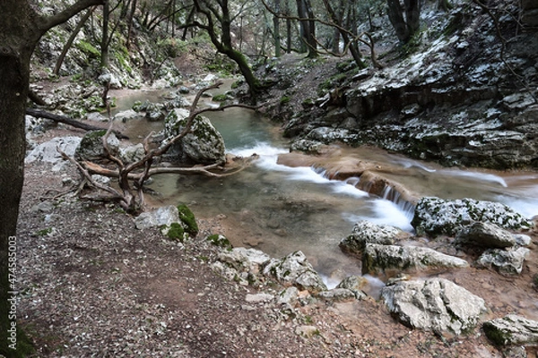 Obraz stream in the forest