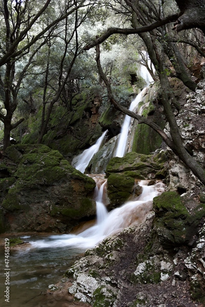 Obraz waterfall in the forest