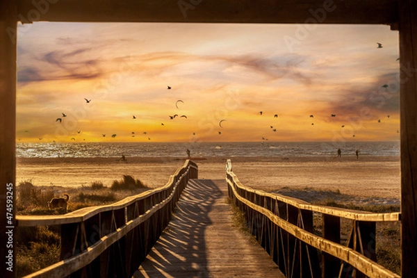 Obraz sunset on the beach