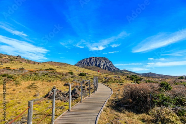 Obraz road to the mountains.