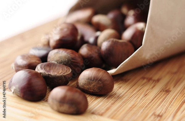 Obraz sweet chestnut