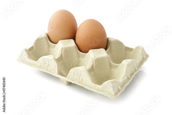 Obraz Two eggs in the package