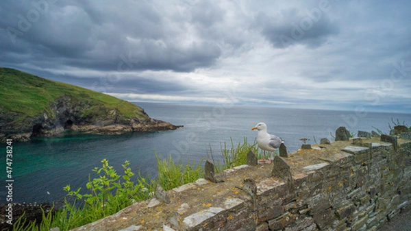 Obraz Cornwall coast