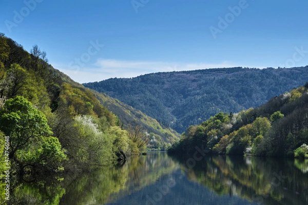 Fototapeta Springtime by the river