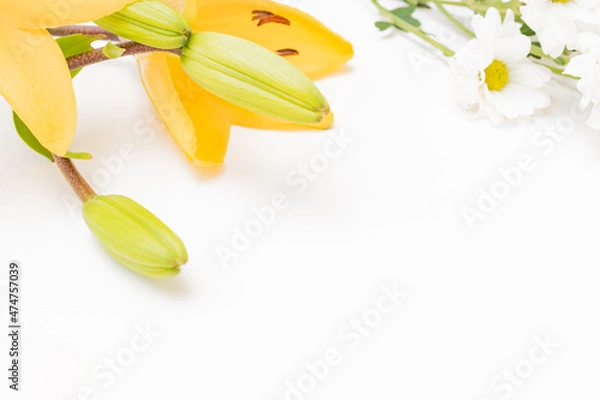 Fototapeta Frame with yellow lilies on white background