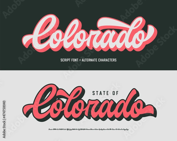 Obraz Original Brush Script Font with Alternate Characters. Vector