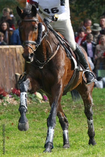 Obraz horse and rider following eventing track