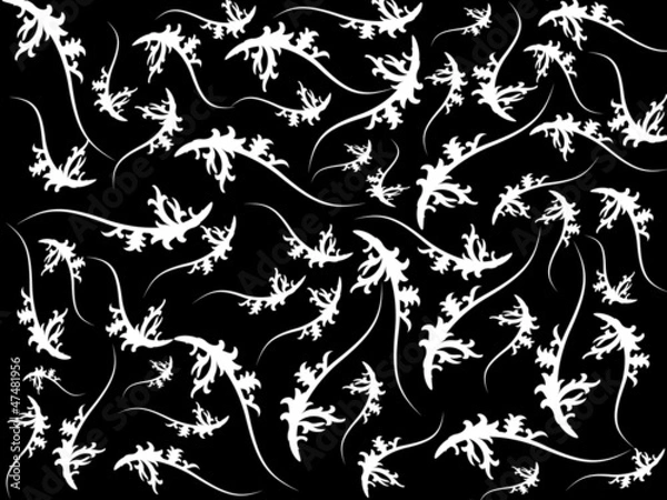 Fototapeta duvara kağıdı