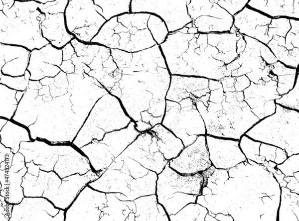 Fototapeta The texture of cracks. Cracked earth. Black and white vector illustration.