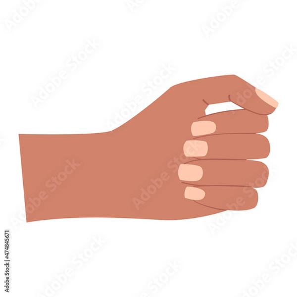 Fototapeta A human hand. A clenched, closed palm. Gesture. Holds something vertical. An empty fist. Color vector illustration isolated on white background