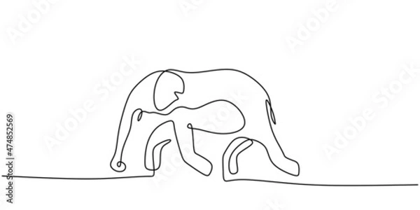 Fototapeta Continuous one single line of elephant walking on india street isolated on white background.