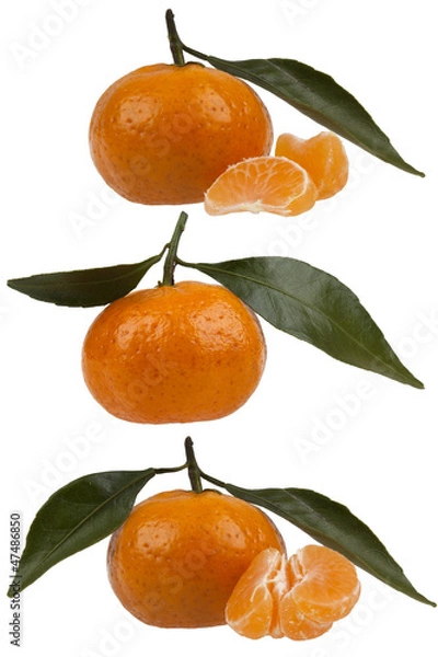 Fototapeta Tangerines