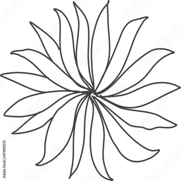 Obraz Tree plan hand drawn sketch icon top