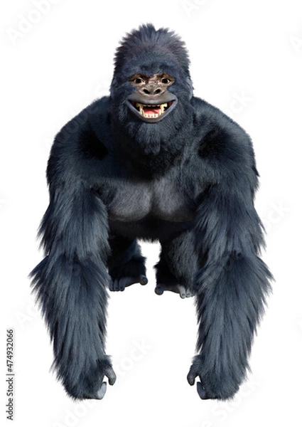 Fototapeta 3D Rendering Black Gorilla Ape on White