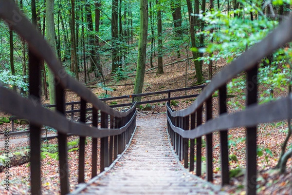 Fototapeta A stairway in Söderåsen National Park, Sweden