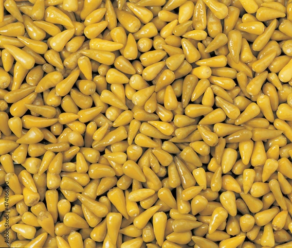 Obraz Marinated chili peppers