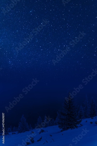 Fototapeta Winter landscape with forest and stars