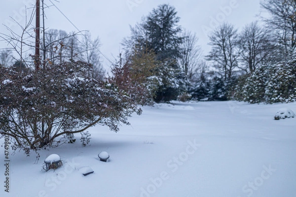 Obraz Winter landscape