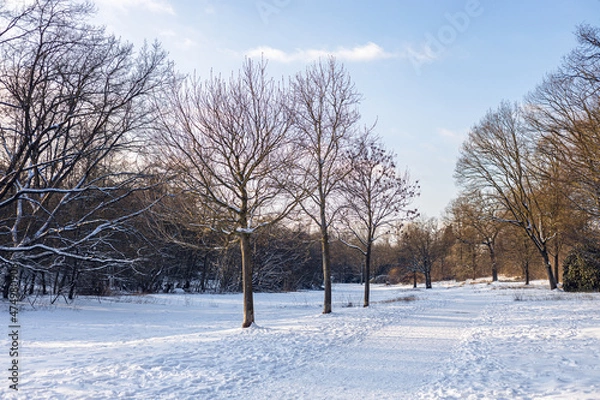 Obraz Winter landscape
