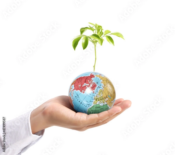 Obraz Globe earth in human hand