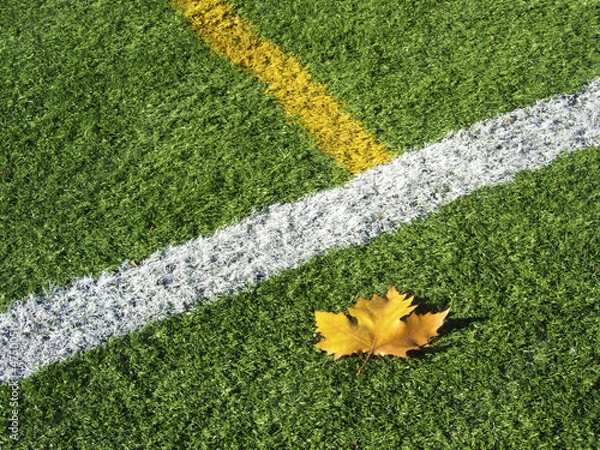 Obraz Soccer Field's Lines in Autumn