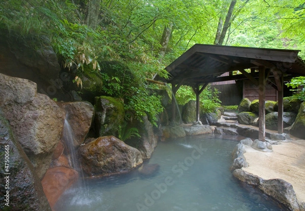 Obraz 奥飛騨温泉郷の露天風呂