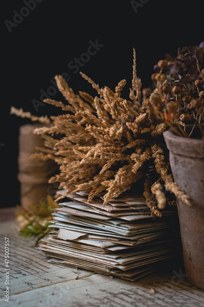 Fototapeta Vecchie lettere e fiori secchi