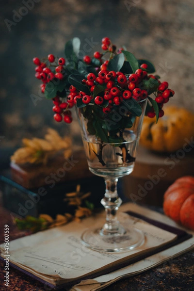 Fototapeta Bacche autunnali 