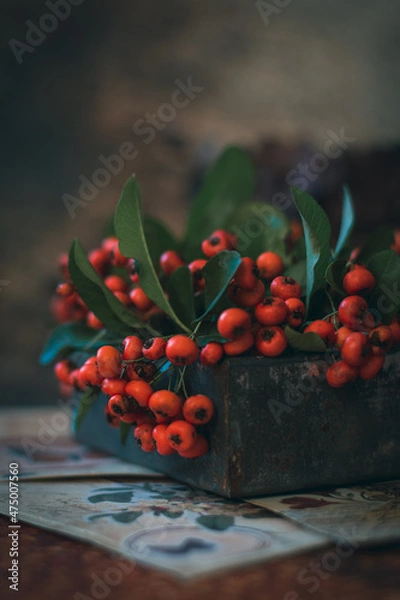 Fototapeta Bacche autunnali