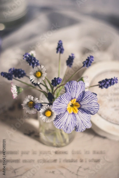 Fototapeta Spring flowers