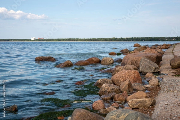 Fototapeta Coast of the Gulf of Finland in the Central Park of the city of Sestroretsk, St. Petersburg