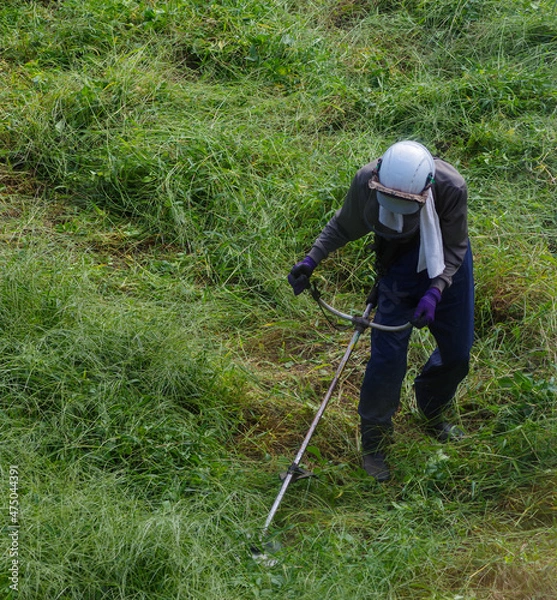 Obraz 耕作放棄地の草刈りをする作業員