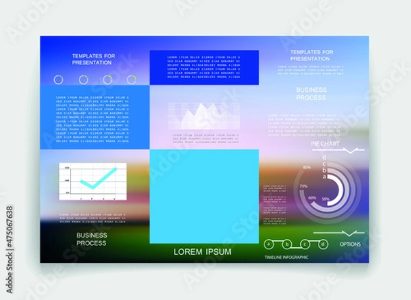 Fototapeta Elements for business data visualization, Modern infographic design, vector set templates
