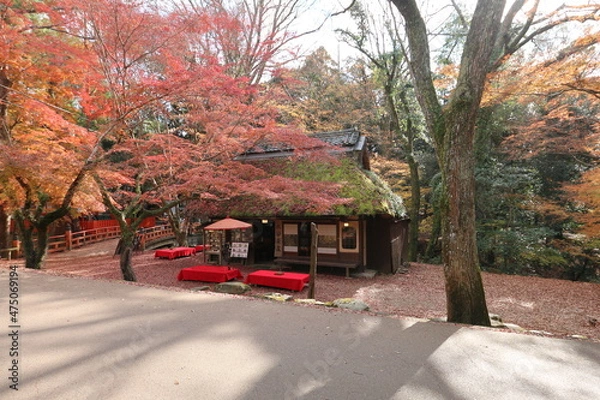 Fototapeta 秋の奈良公園　水谷茶屋