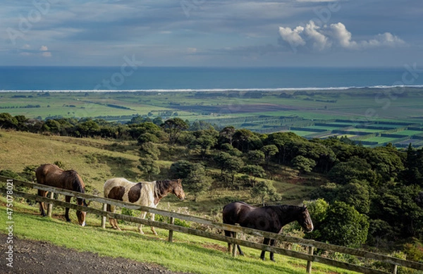 Obraz Cape Reinga on the North Island of New Zealand