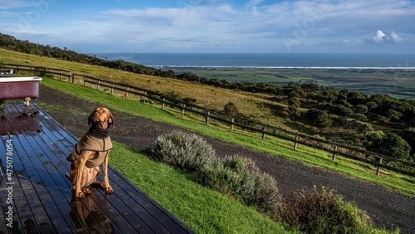 Obraz Cape Reinga in the North Island of New Zealand
