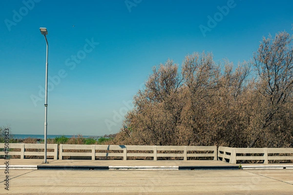 Obraz bridge in the park