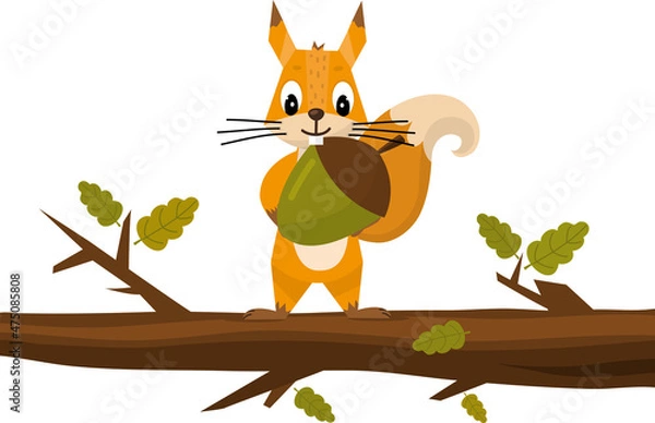 Obraz Cute cartoon squirrel Holding Acorn. Funny little brown squirrel collection. Emotion little animal. Cartoon animal character design. Flat vector illustration isolated on white background.