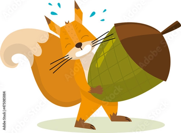 Obraz Cute cartoon squirrel Holding Acorn at a branch . Funny little brown squirrel collection. Emotion little animal. Cartoon animal character design. Flat vector illustration isolated on white background.