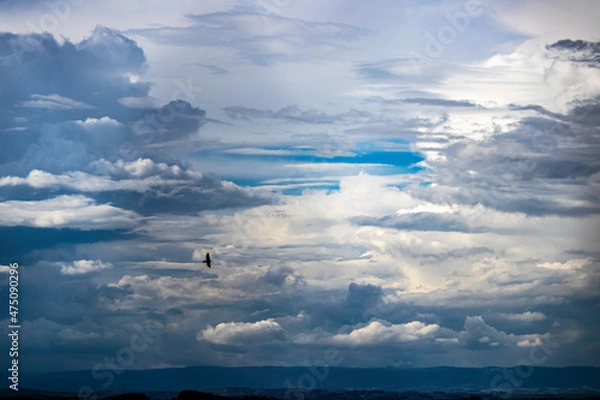 Fototapeta blue sky with contrasting clouds