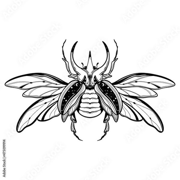 Fototapeta Hand drawn vector illustration - Egyptian collection. Scarab beetle, symbol of pharaoh. Perfect for invitation, web, postcard, poster, textile, print etc.