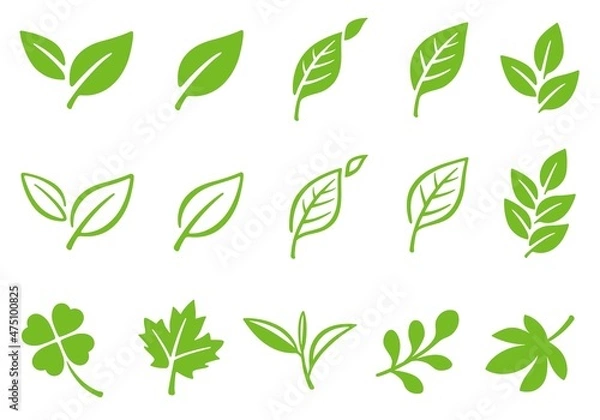Obraz 葉っぱ　葉　アイコン　イラストセット