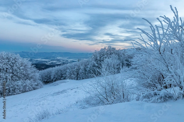 Obraz winter sunset blue hour landscape with snow