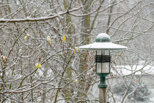 Obraz Eingeschneite Laterne