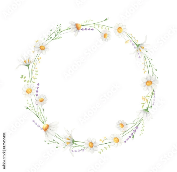 Fototapeta Daisy watercolor wreath isolated on white background.  Wildflowers frame for greeting cards, wedding invitations. 