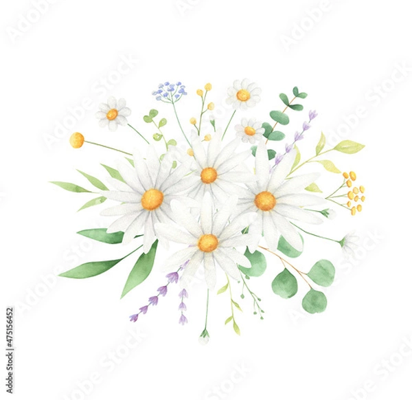 Fototapeta Daisy watercolor arrangements summer bouquets isolated on white background. Wildflowers compositions. 