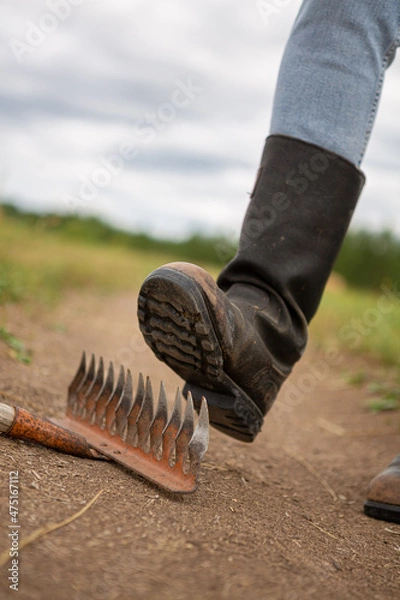 Obraz Step on the same rake. A man in kirza boots steps on a sharp metal rake.